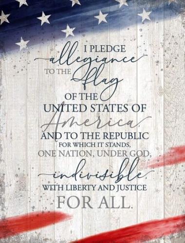 pledge 58