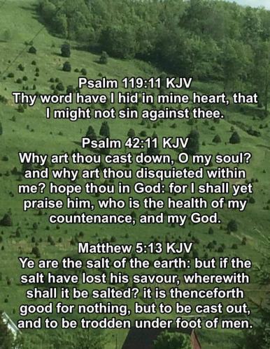 eaf6733b-94da-4d00-88c3-81b9def7d928