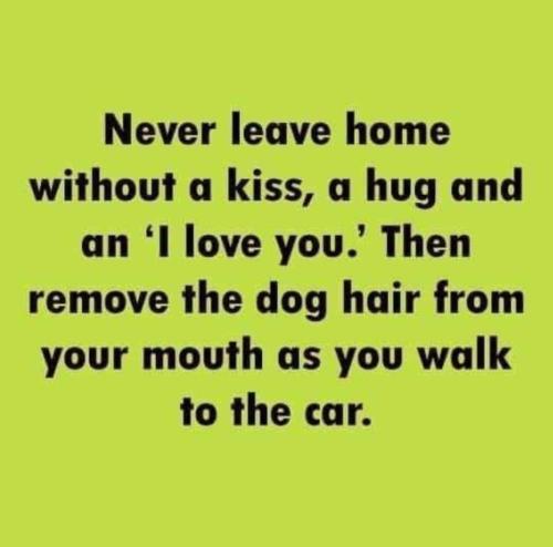 FB_IMG_1705103727295