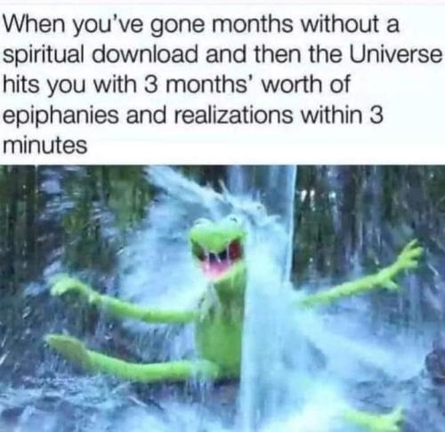 417109347_1123058372137316_4902897254970992138_n