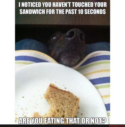 79b8e080095f07280ddf8829c286f9c4d13effb833648773e5284c6adc42572e_1