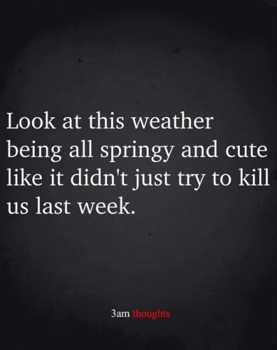 423223151_398418689601595_9201286269986318734_n