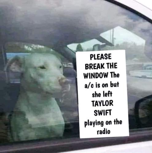 FB_IMG_1705266390265