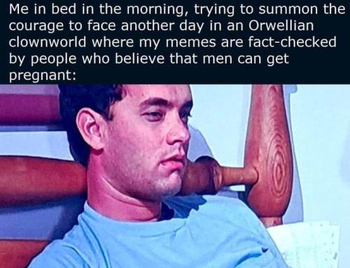 Clownworld Pregnant Men