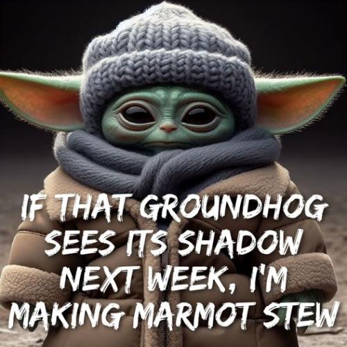 422917321_943090037181737_5458580662098424860_n