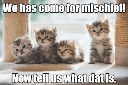 3a1c1791087f663f8e27fc887171eecc