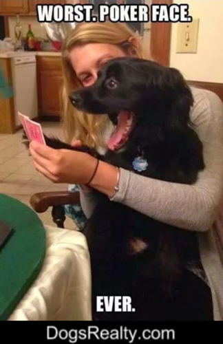 f5f57f5feea942b01fccbd28904d0611