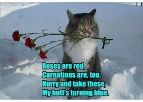 FB_IMG_1706192628084