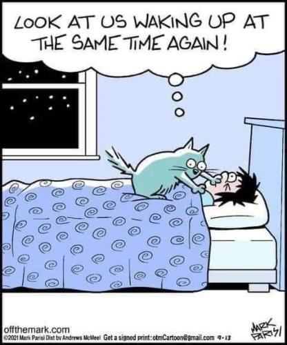 FB_IMG_1706123835411