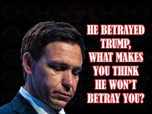 c55affc698018e713dba018a910bf2cc