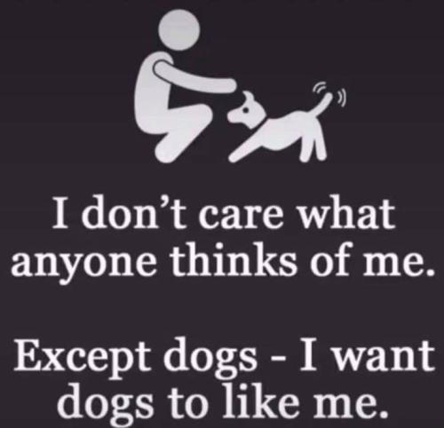 b2b0e90800f06da18c749a47884c3b6d