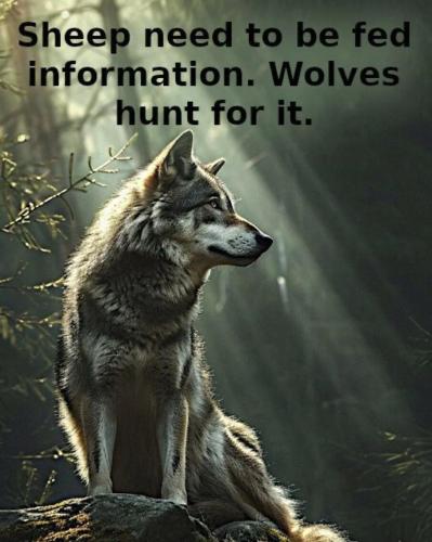 sngine_c0335906b4c5979bcf7203a5af85e633