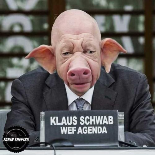 54064dcc5ff1657617ce15f0e4c130f8