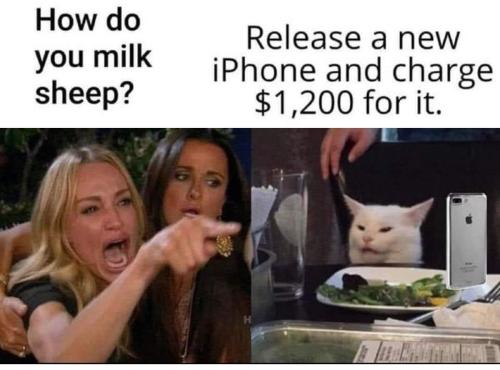 sngine_313a6e7ad696a1806000dfe2405860b4