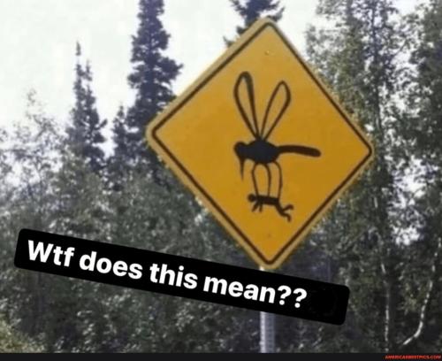 75fce1de1f881aef4d32d02b3d49c553905a6f8e6394cf73a96bb43a9c062834_1