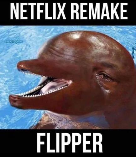 NetflixRemakeFlipper01-24