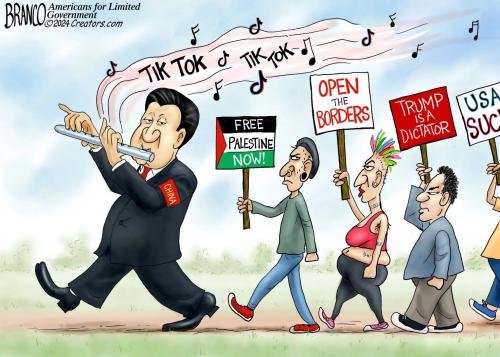 01-TicTocChina-DT-Lg