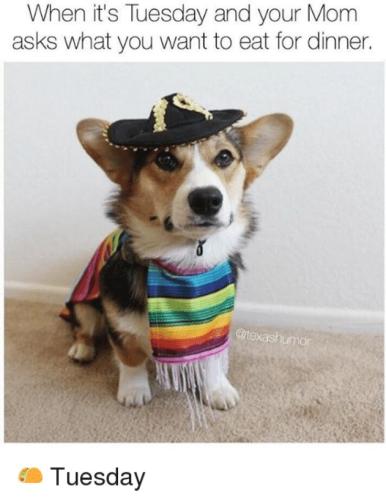 5ec6ea4472d745ede082044546305bc7