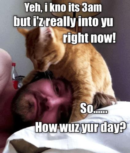 d33483b824bdb6f2d14d711305410e5a