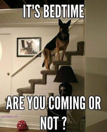 46e4ff3c0821e83cd8a2a1d418701ac4