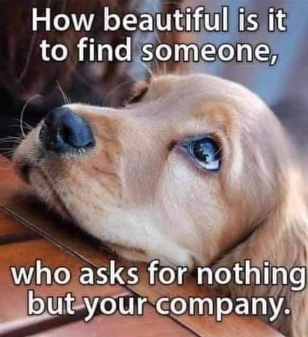 a1399f93b5456a3e995fd360ddc248de