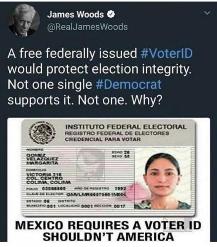 Voter ID 1