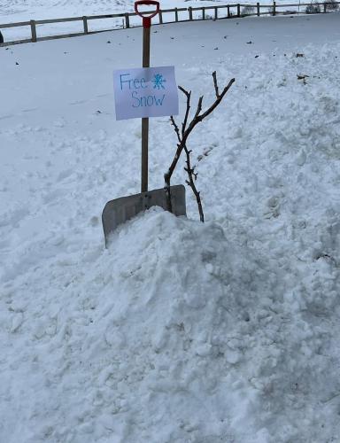 IMG_20240122_233959_016