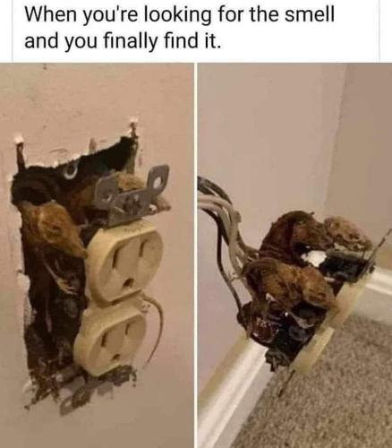 FB_IMG_1705810413337
