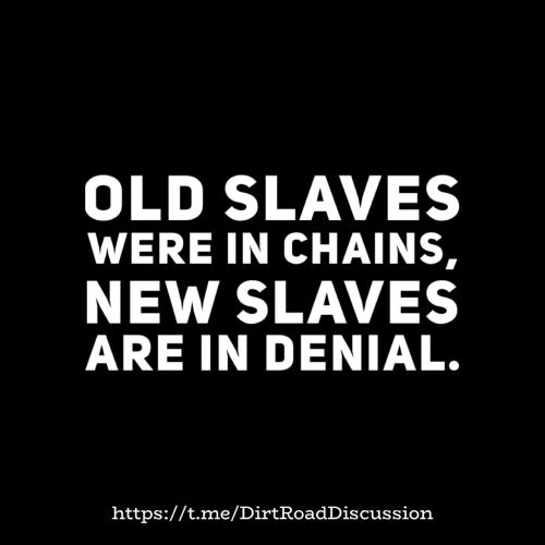 IMG_20240115_221759_436