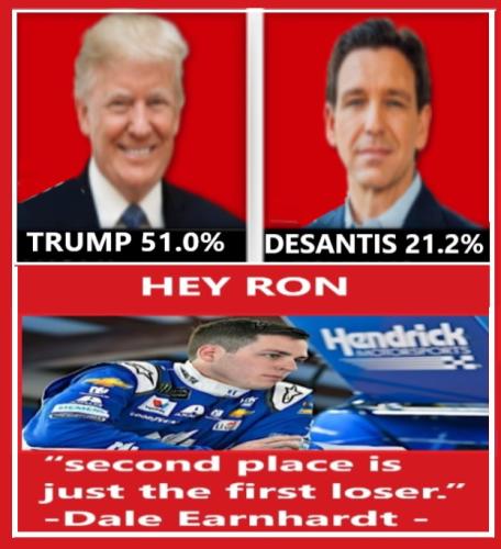 Alex-Bowman-Talladega-I-2019