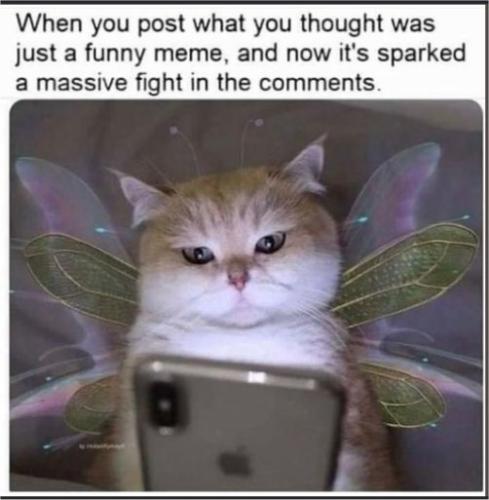 just a caturday meme