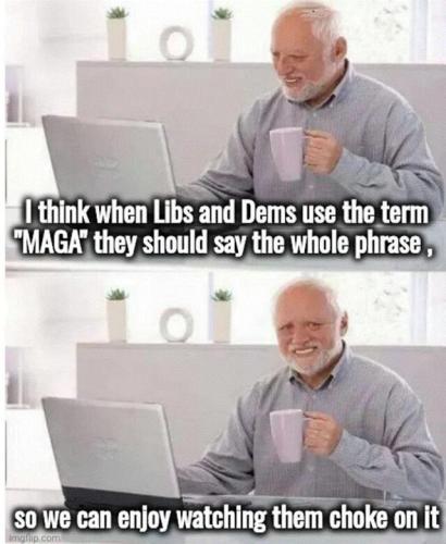 sngine_6ba47b768426ea51959980d4a623ac08