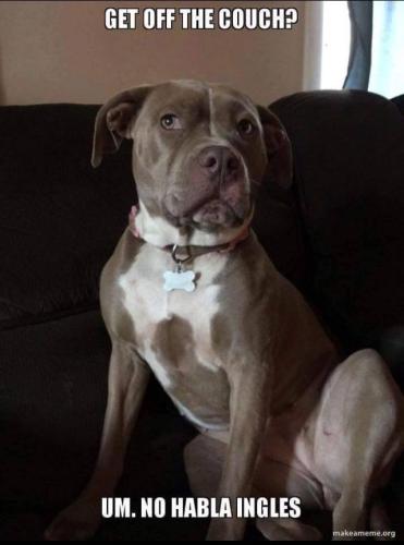 d6a4b33d775afa0e7f86c09144076f43