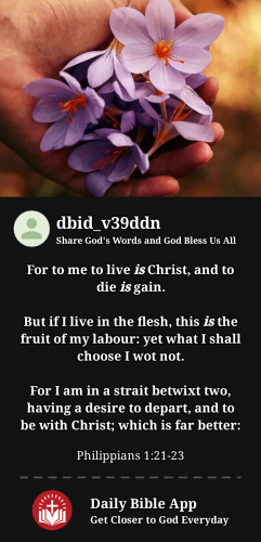 2024-01-181705560127594