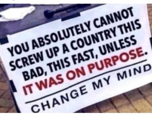 FB_IMG_1704160474902