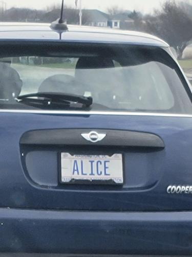 alice cooper