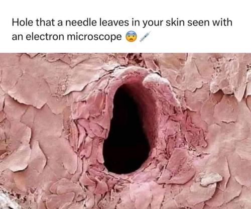 IMG_20240102_214821_836