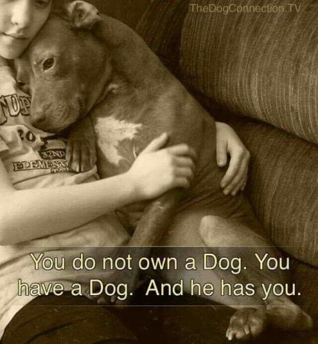 48c14ebd02e00e0f4f010e79092e511a