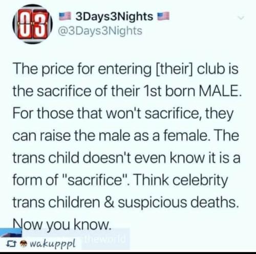 IMG_20240115_035527_721