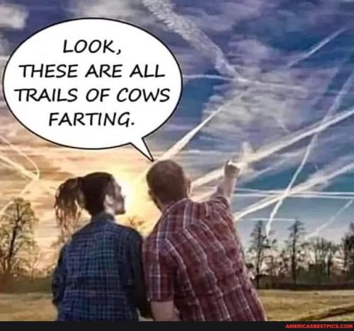 f73c91eff19e52d8b00b6e7b362e8ca564313f6b042b770144f4e92aaa2a580b_1