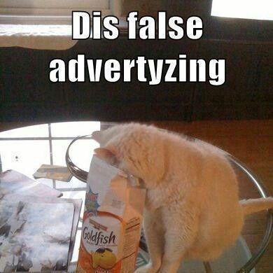 befa1e5b14050691292056dc29b9ac0e