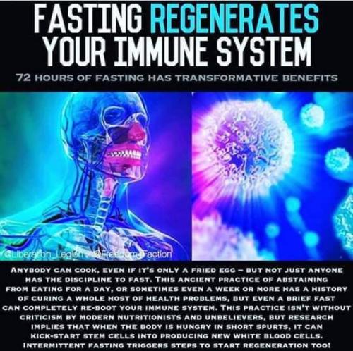 IMG_20240131_071845_109