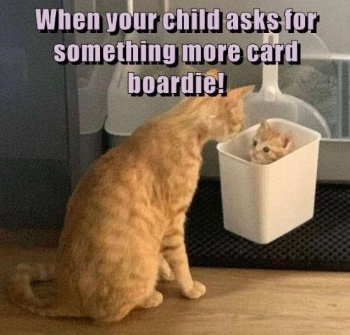 child-asks-something-more-card-boardie