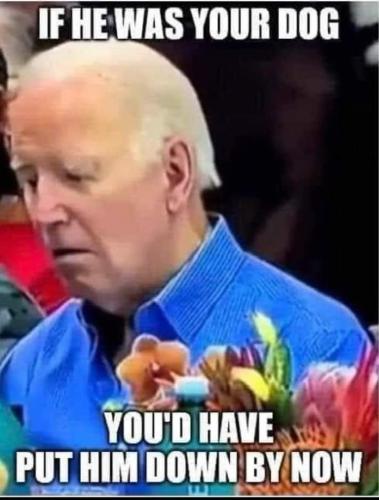 FB_IMG_1704254532071