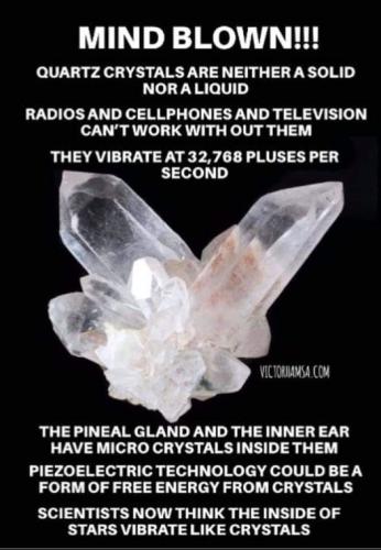 ,    416302419_10789439998