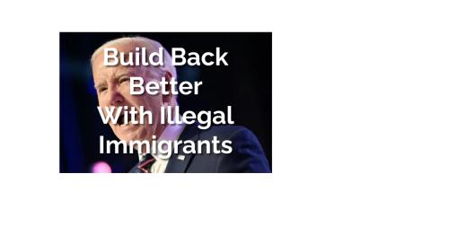 Illegals BBB