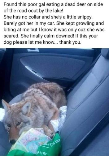 FB_IMG_1704472212145