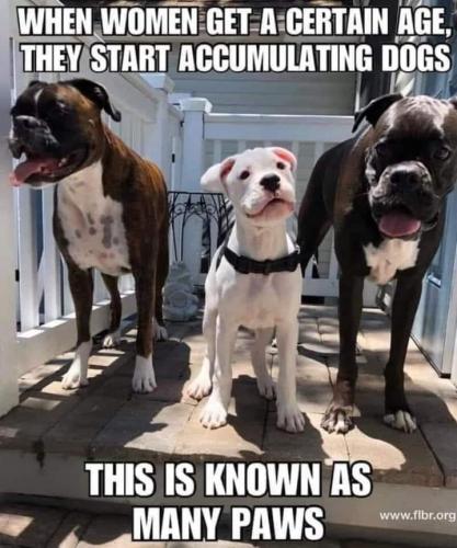 FB_IMG_1706390821219