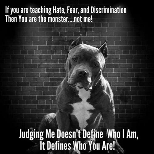 f1fd913080b32751f89df8b81f718abf