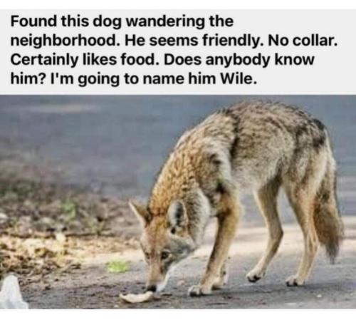 FB_IMG_1706188051214